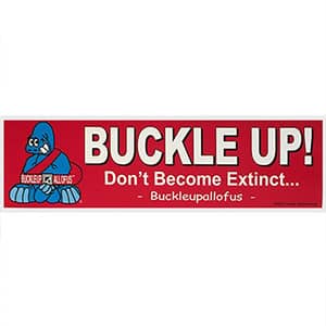 Bucky Bumper Sticker